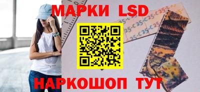 стаф Дубна