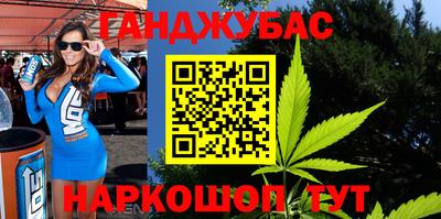 стаф Дубна