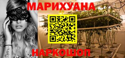 стаф Дубна